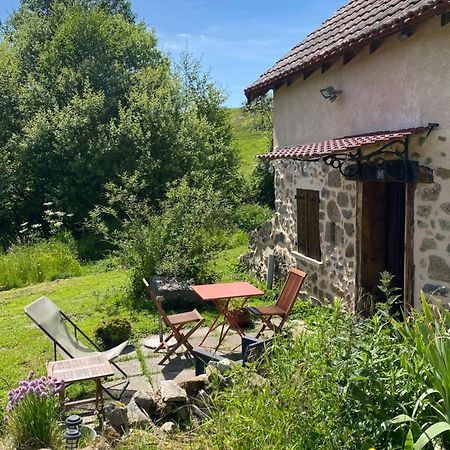 Maisonnette Chaleureuse De 35M2 Miremont  Exterior photo